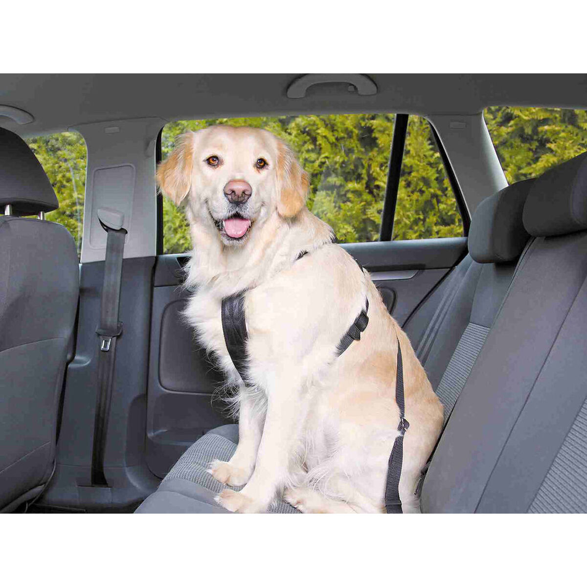 Harnais pour Chien Trixie Noir M